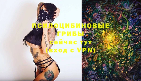 крисы Алзамай