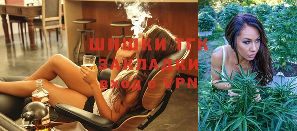 крисы Алексин