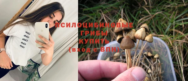 крисы Алексин