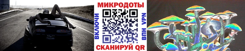 Галлюциногенные грибы Psilocybine cubensis  закладки  Покров 